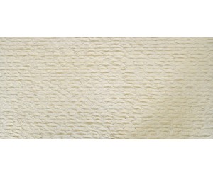 Politano - Line Stone Arena