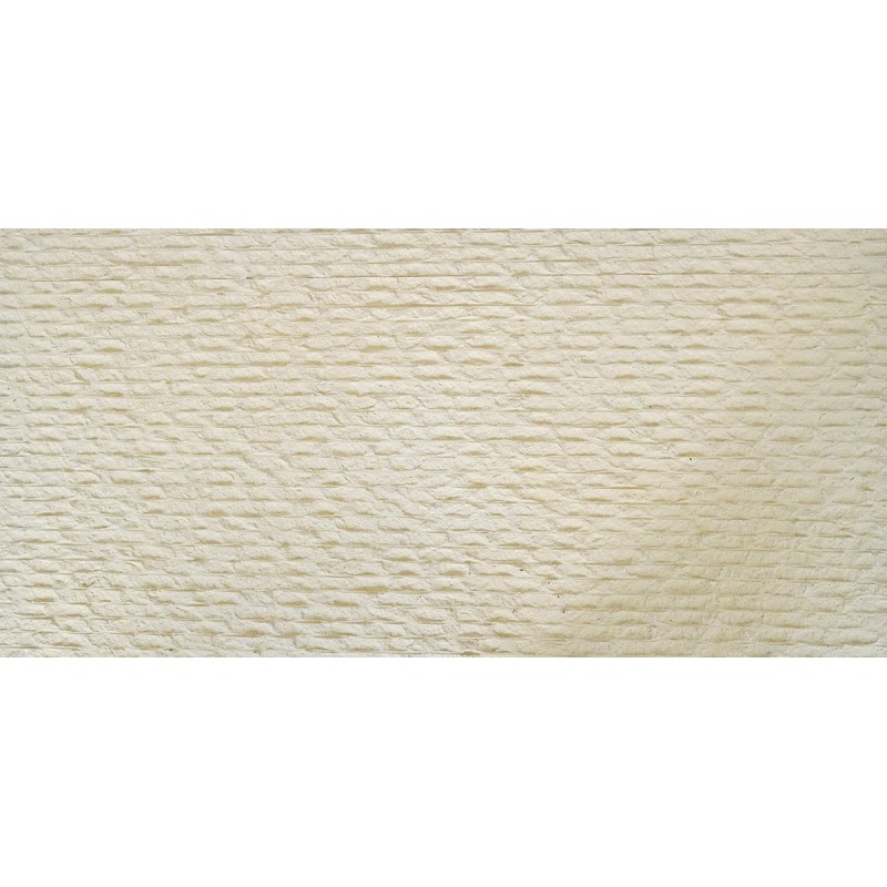 Politano - Line Stone Arena